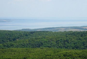 В Ульяновской области создан национальный парк «Сенгилеевские горы»