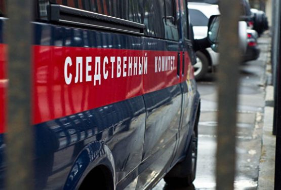 Новосибирские следователи возбудили дело против члена «Артподготовки»*