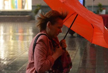 МЧС предупреждает об усилении ветра в Москве