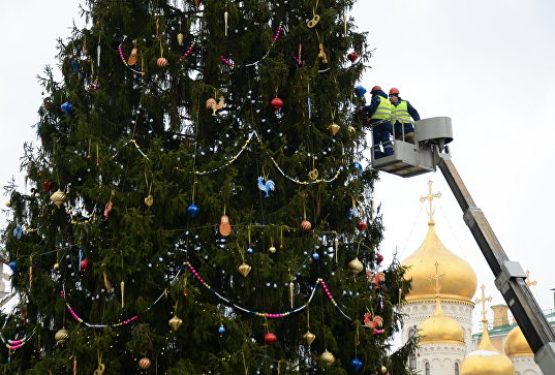 В Москве на новогодних площадках появятся более 500 елей