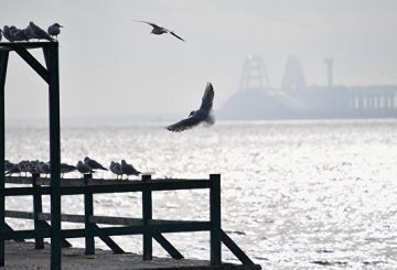 Киевских прокуроров позвали в Крым после объявления в розыск пограничников